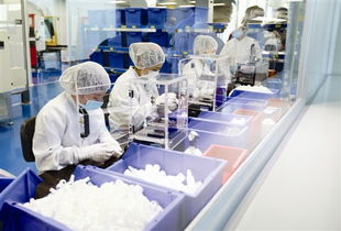 望牛墩每年投千萬助企業(yè)倍增，辦公用品行業(yè)迎發(fā)展新機遇